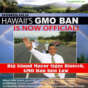 Hawaii gmo ban official